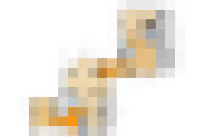 Doesburgseweg 22 Wehl thumbnail 85