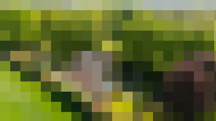 Doesburgseweg 22 Wehl thumbnail 89