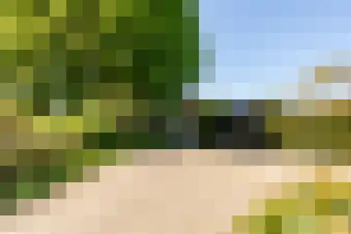 Doesburgseweg 22 Wehl thumbnail 9
