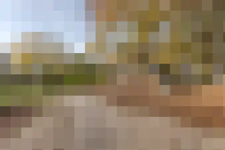 Doesburgstraat 20 Tilburg thumbnail 22