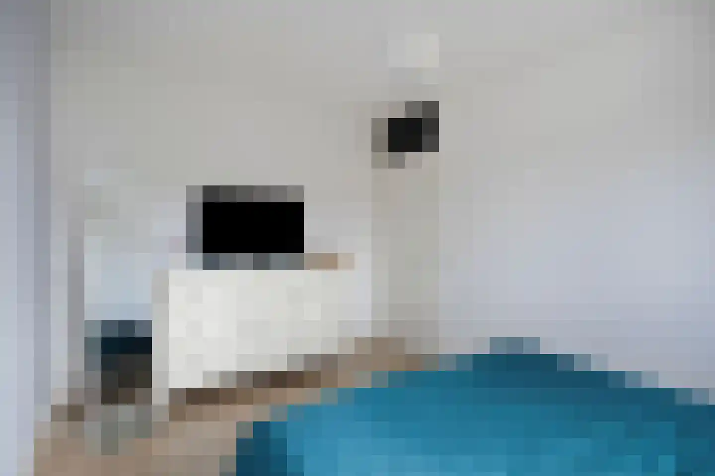 Doesburgstraat 47 Tilburg thumbnail 23