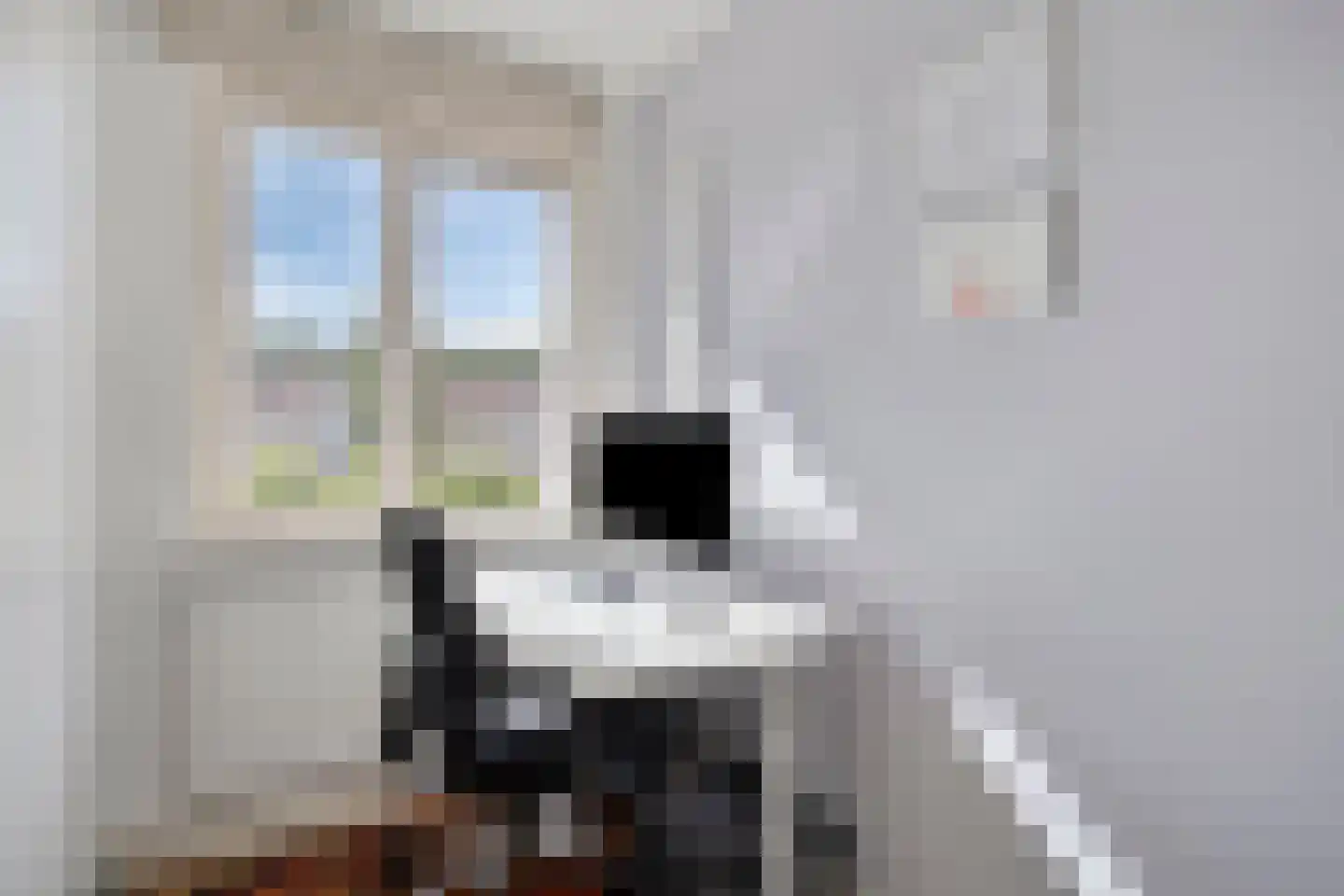 Doesburgstraat 47 Tilburg thumbnail 30