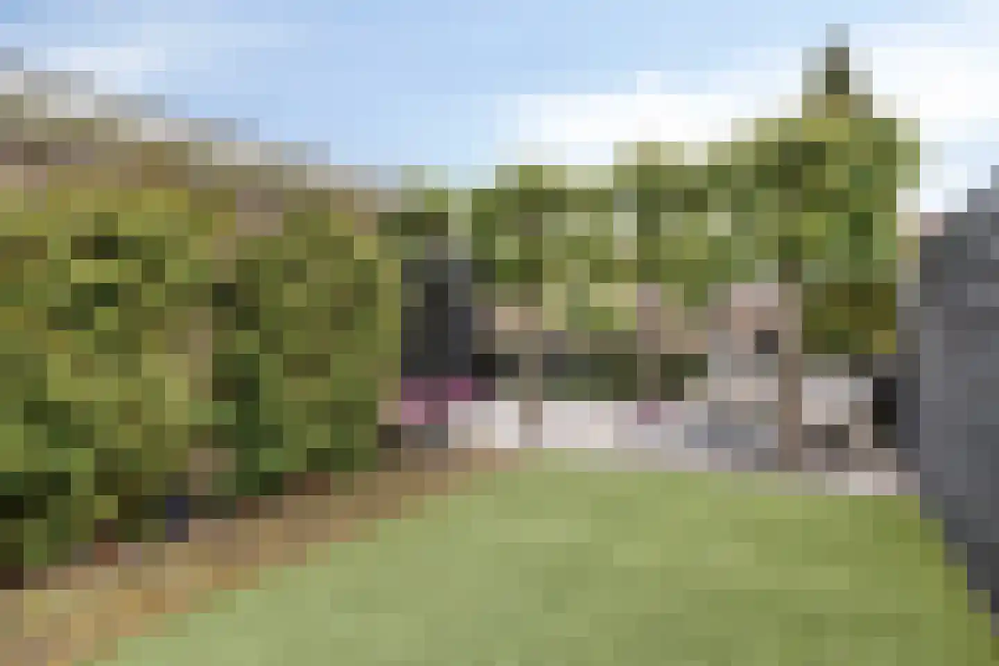 Doesburgstraat 47 Tilburg thumbnail 43