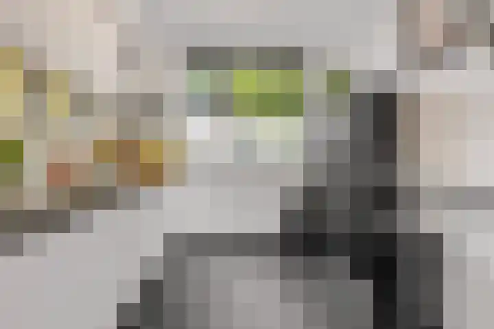 Doesburgstraat 67 Tilburg thumbnail 4