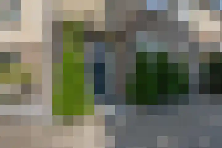 Doesburgstraat 67 Tilburg thumbnail 40