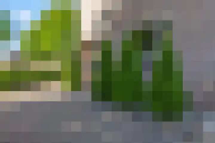 Doesburgstraat 67 Tilburg thumbnail 42