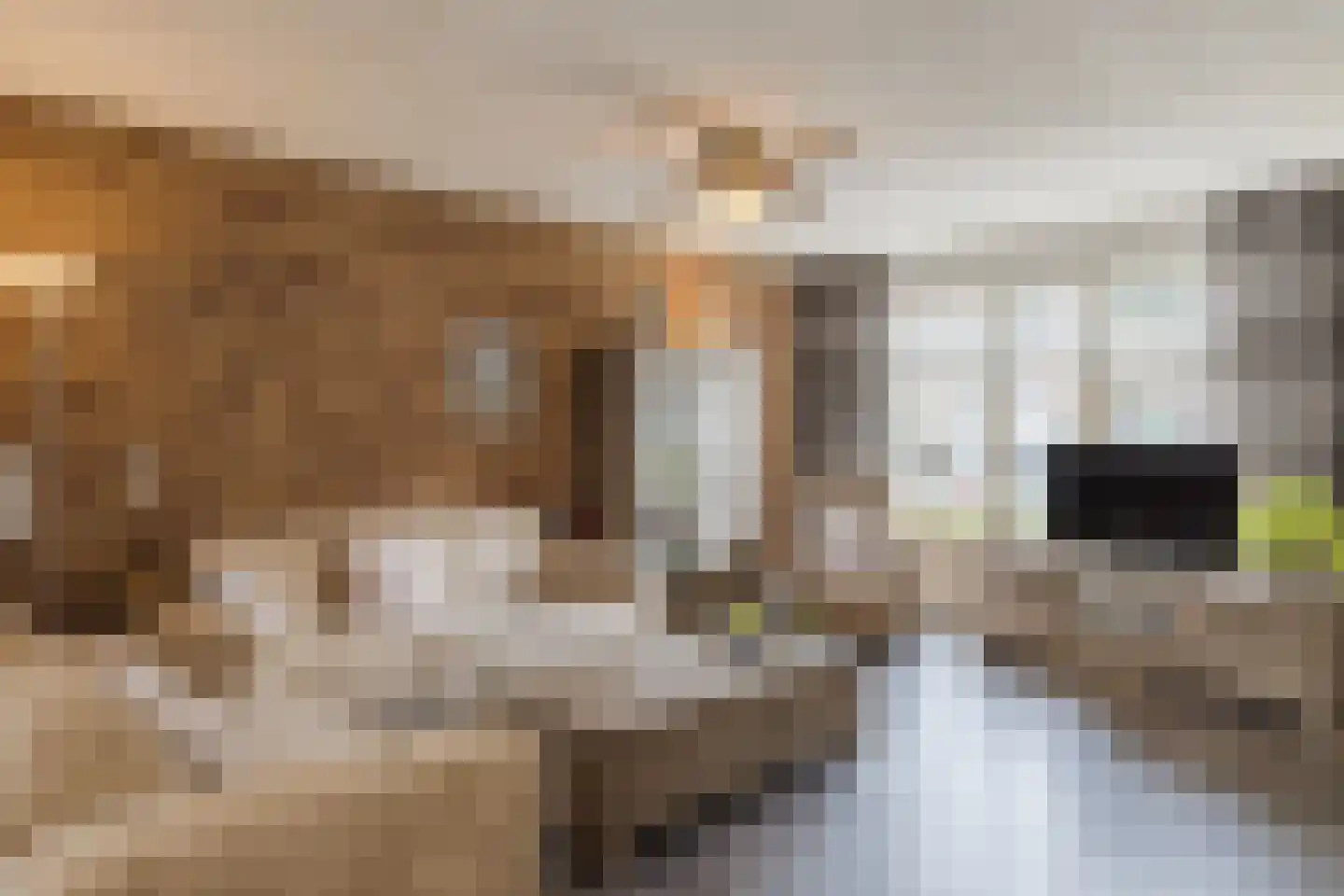 Doesburgstraat 83 Tilburg thumbnail 4
