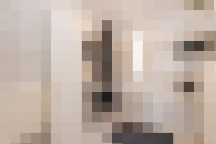 Doesburgstraat 92 Tilburg thumbnail 22