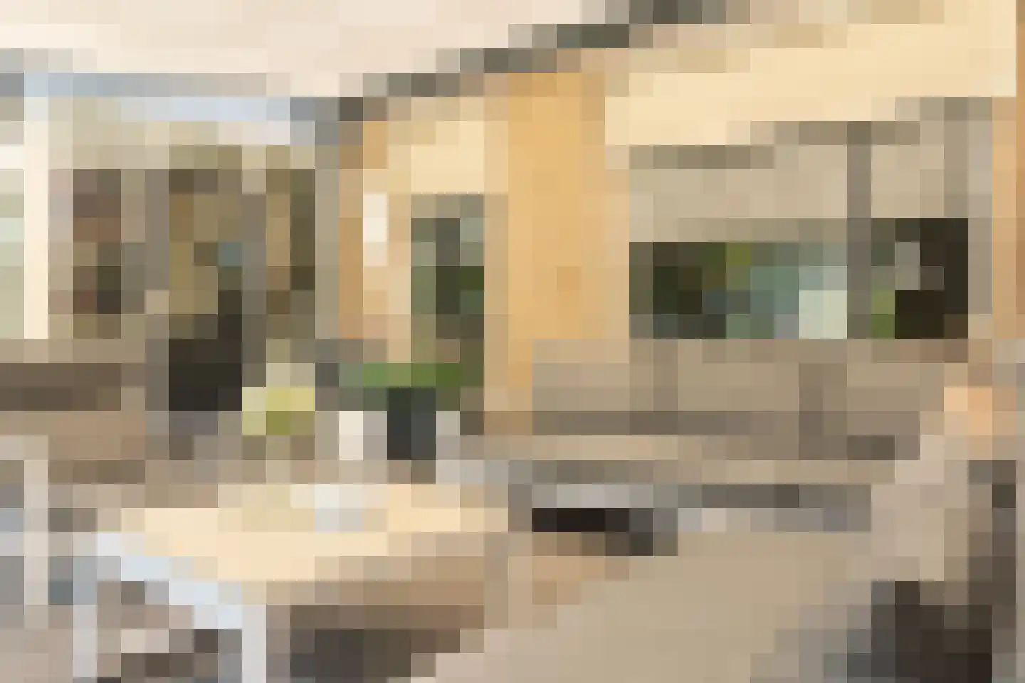 Doesburgstraat 98 Tilburg thumbnail 54