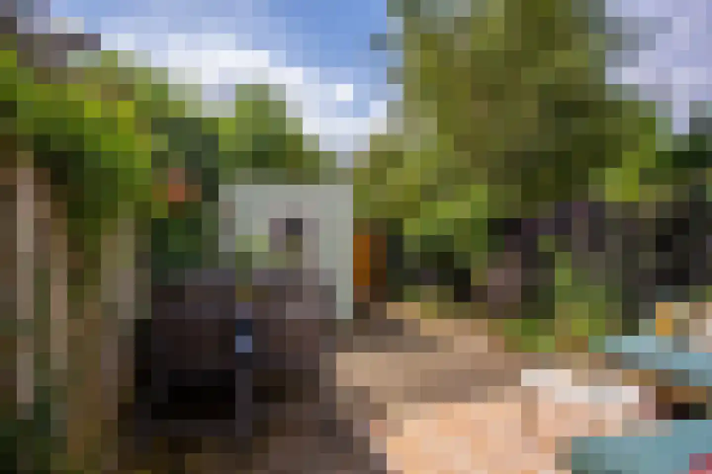 Doeshof 6 Ede thumbnail 28