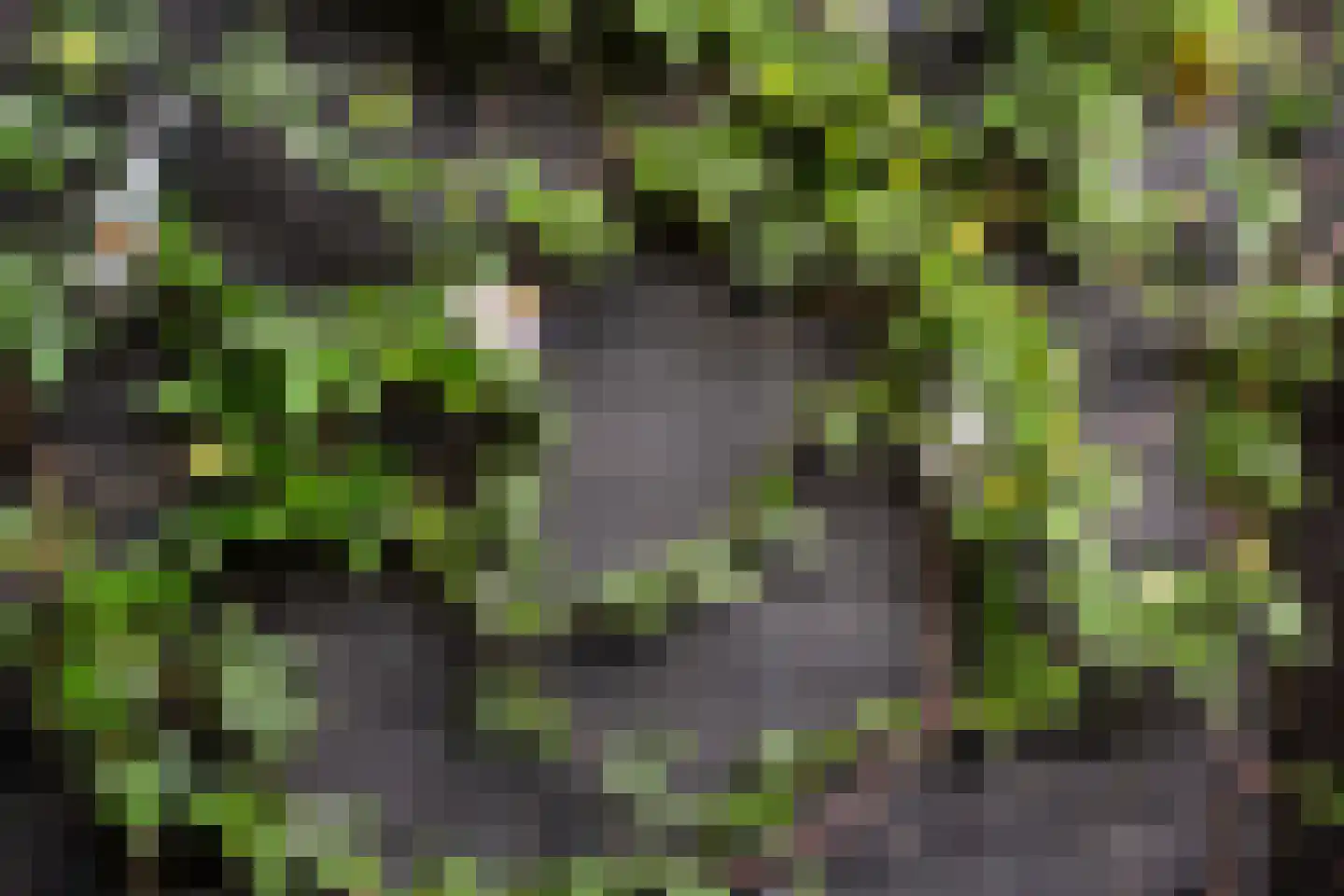 Doeshof 6 Ede thumbnail 31