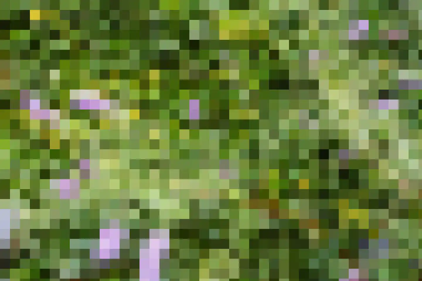 Doeshof 6 Ede thumbnail 33
