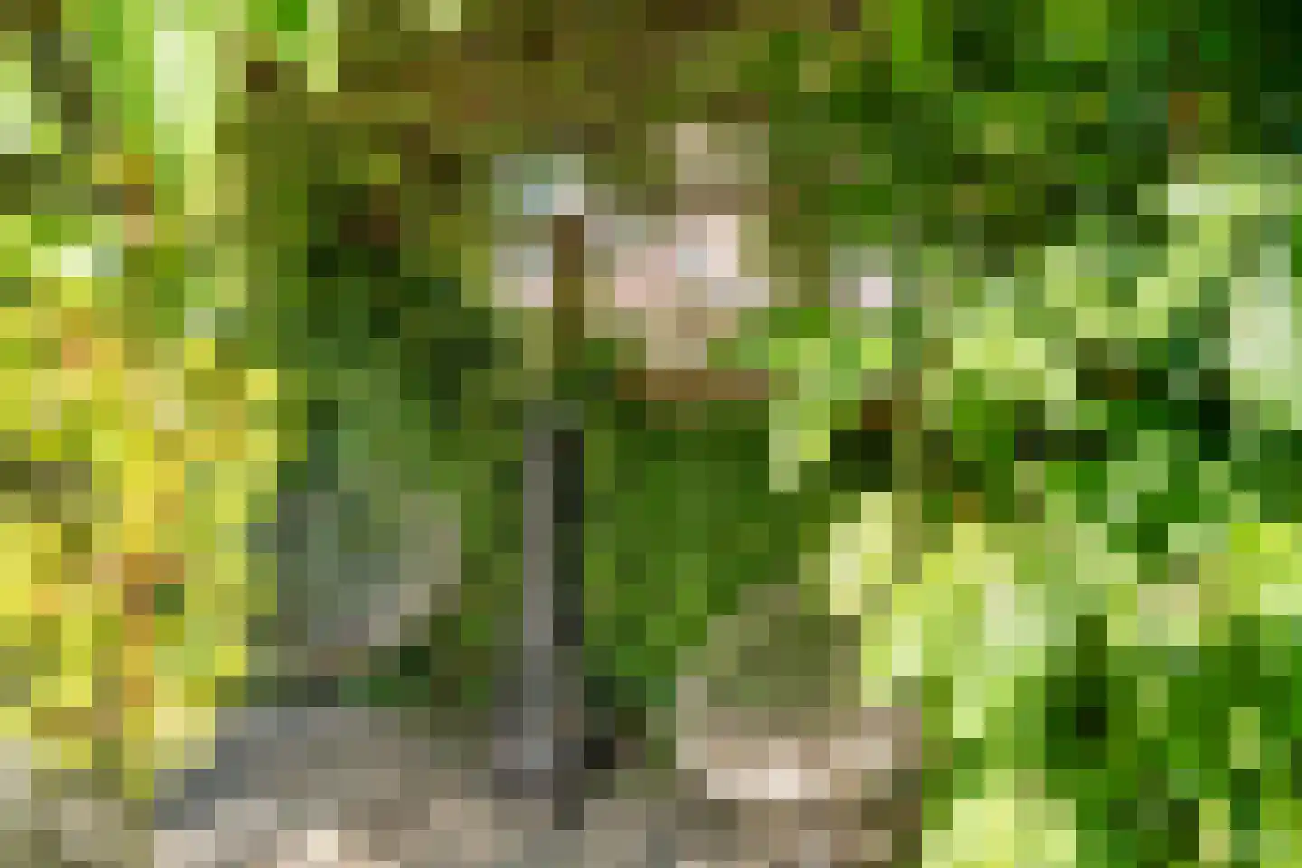 Doeshof 8 Ede thumbnail 17