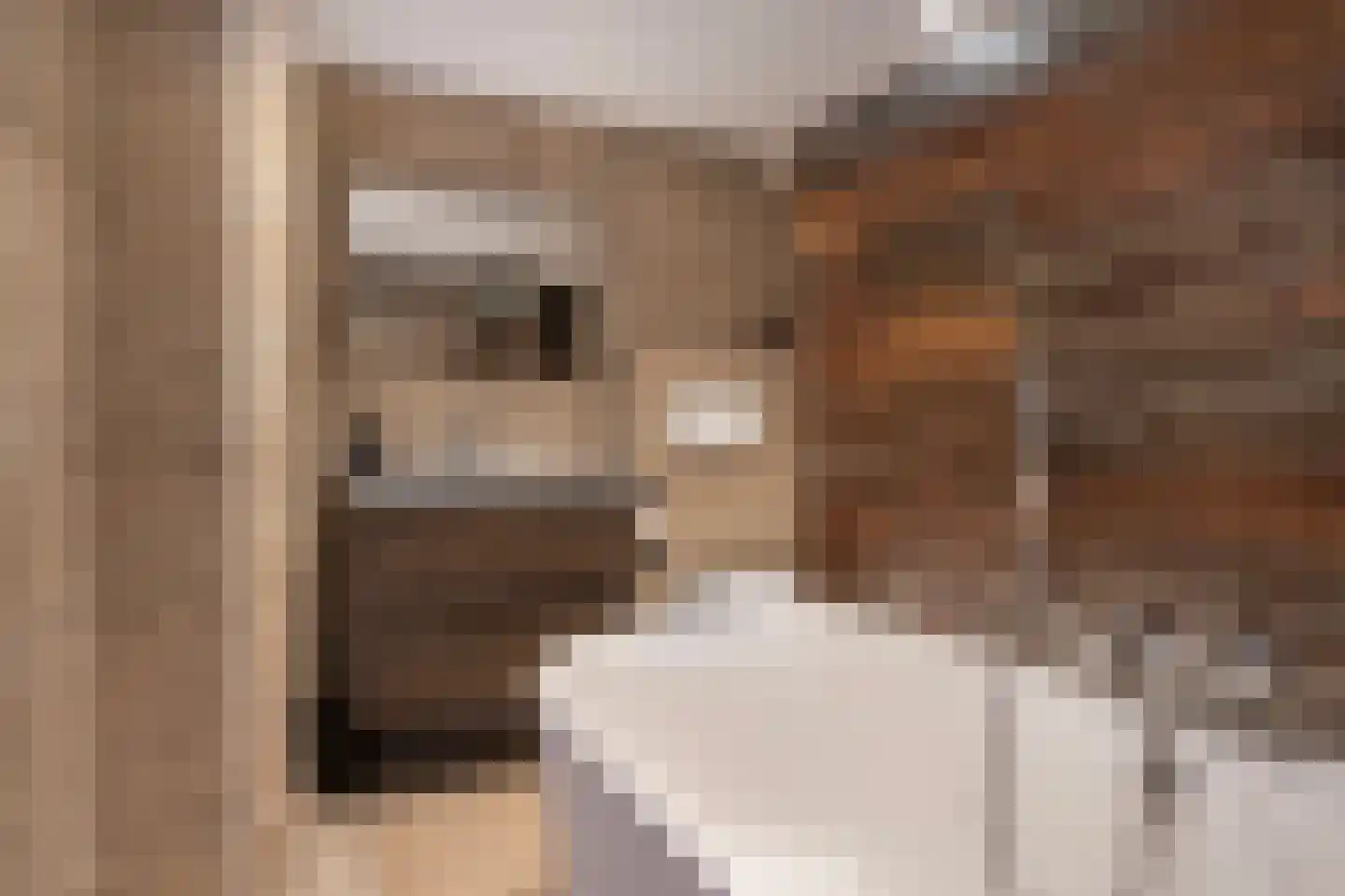 Doeshof 8 Ede thumbnail 28