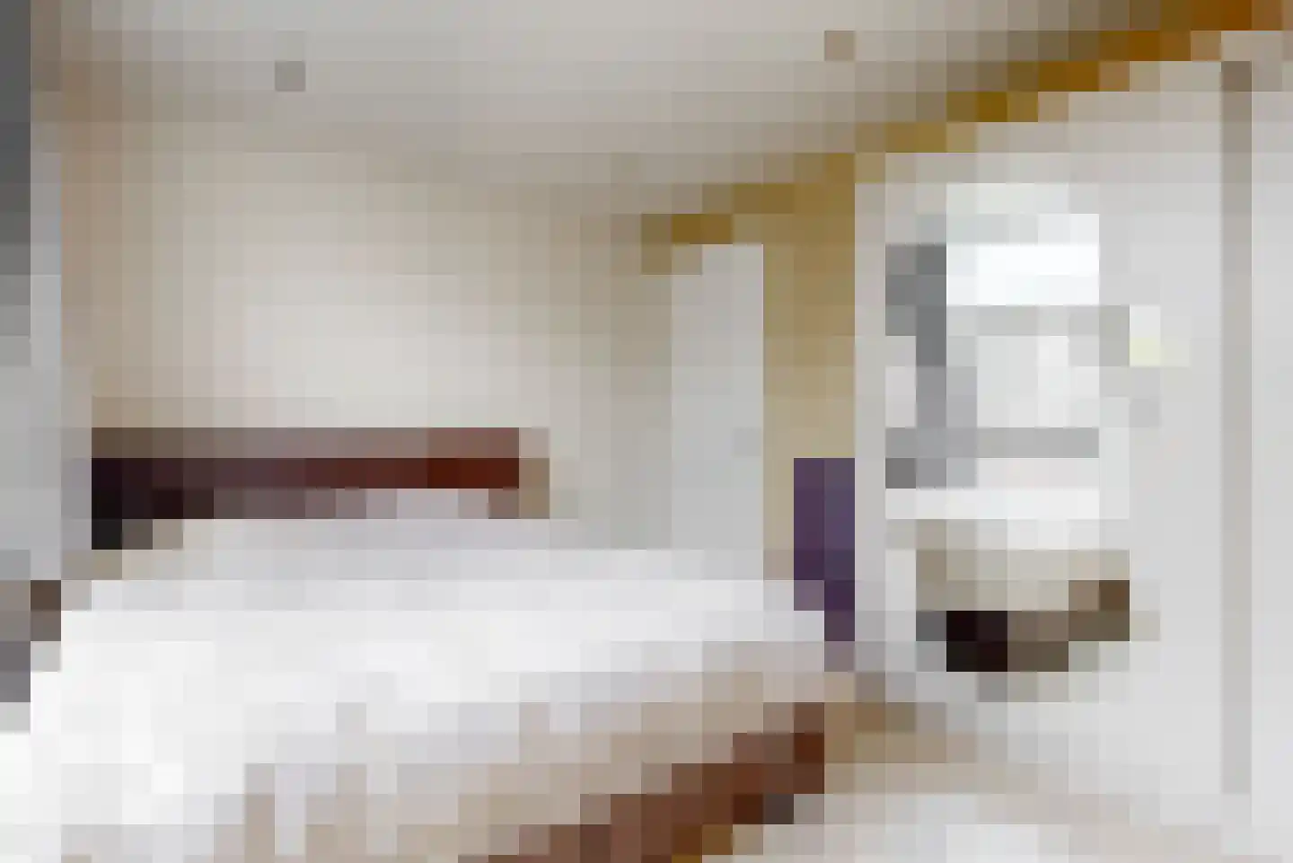 Doeslaan 5 Leiderdorp thumbnail 12