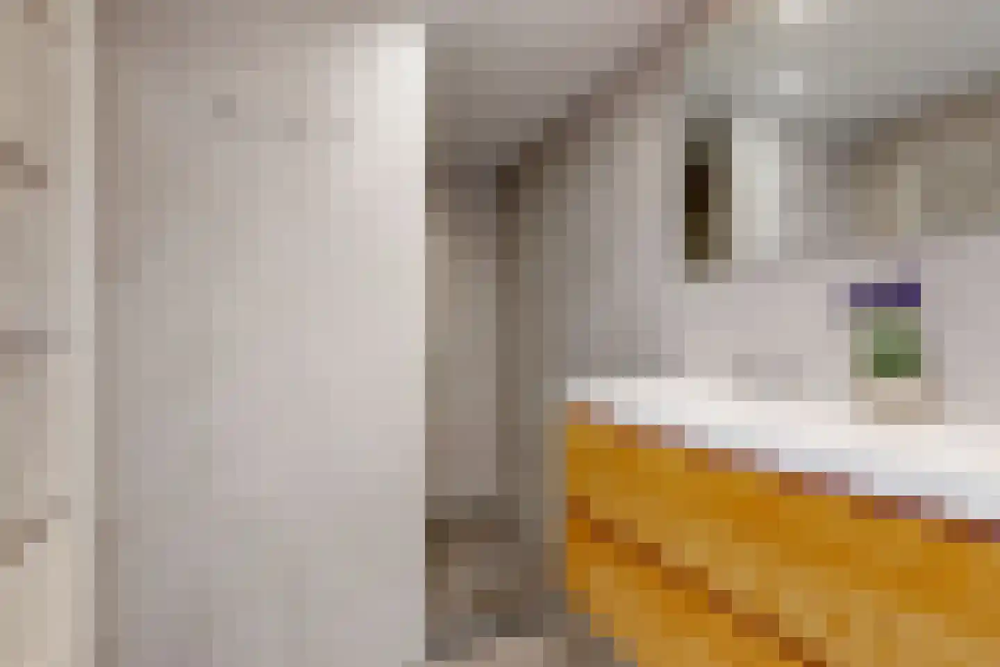 Doeslaan 5 Leiderdorp thumbnail 15