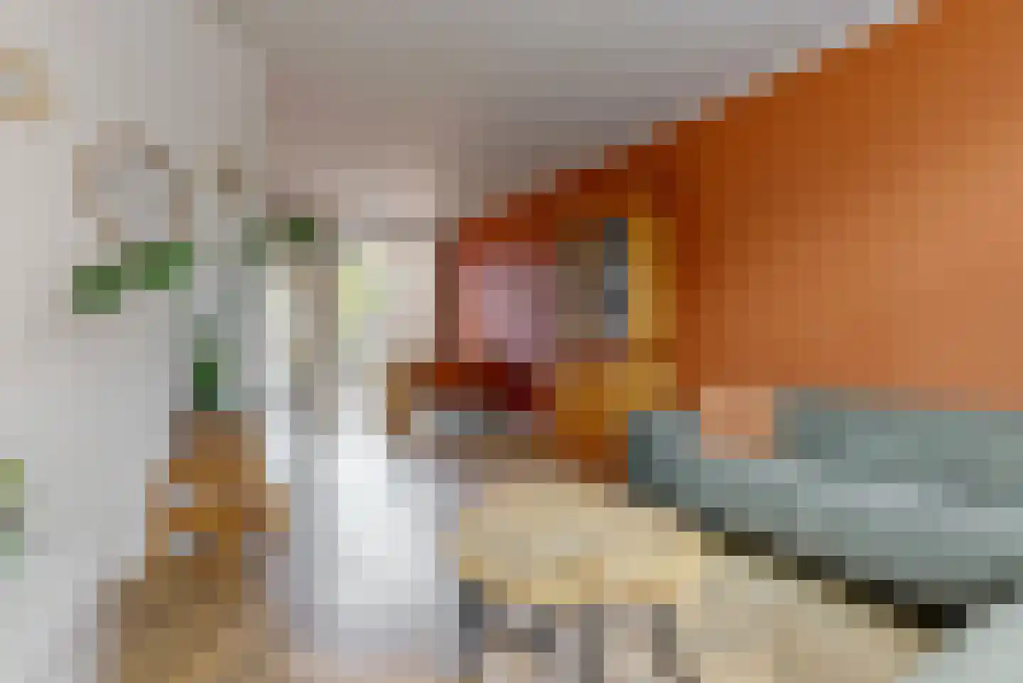 Doeslaan 5 Leiderdorp thumbnail 6