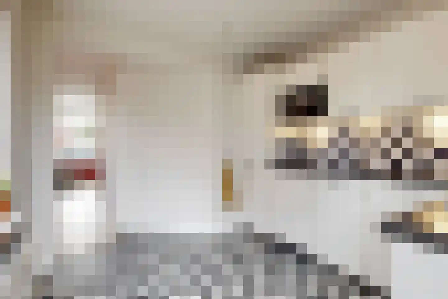 Doeslaan 5 Leiderdorp thumbnail 9