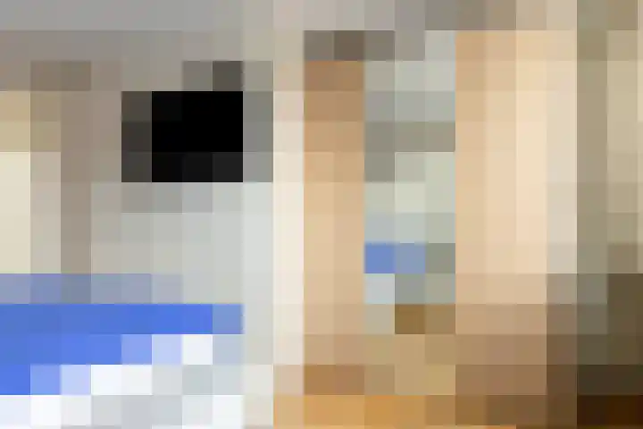 Doeslaan 6 Leiderdorp thumbnail 24