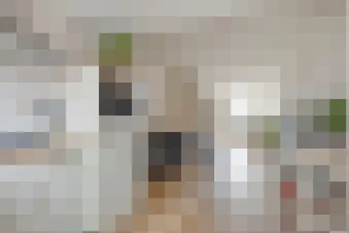 Doeslaan 6 Leiderdorp foto 3