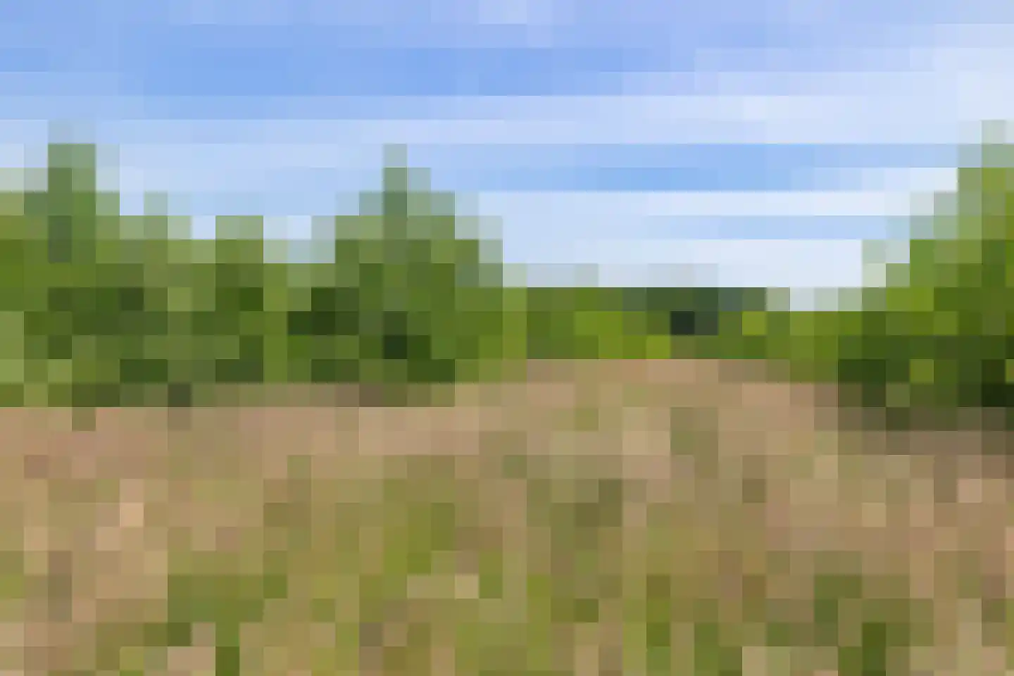 Doetinchem 3 3 Doetinchem thumbnail 37
