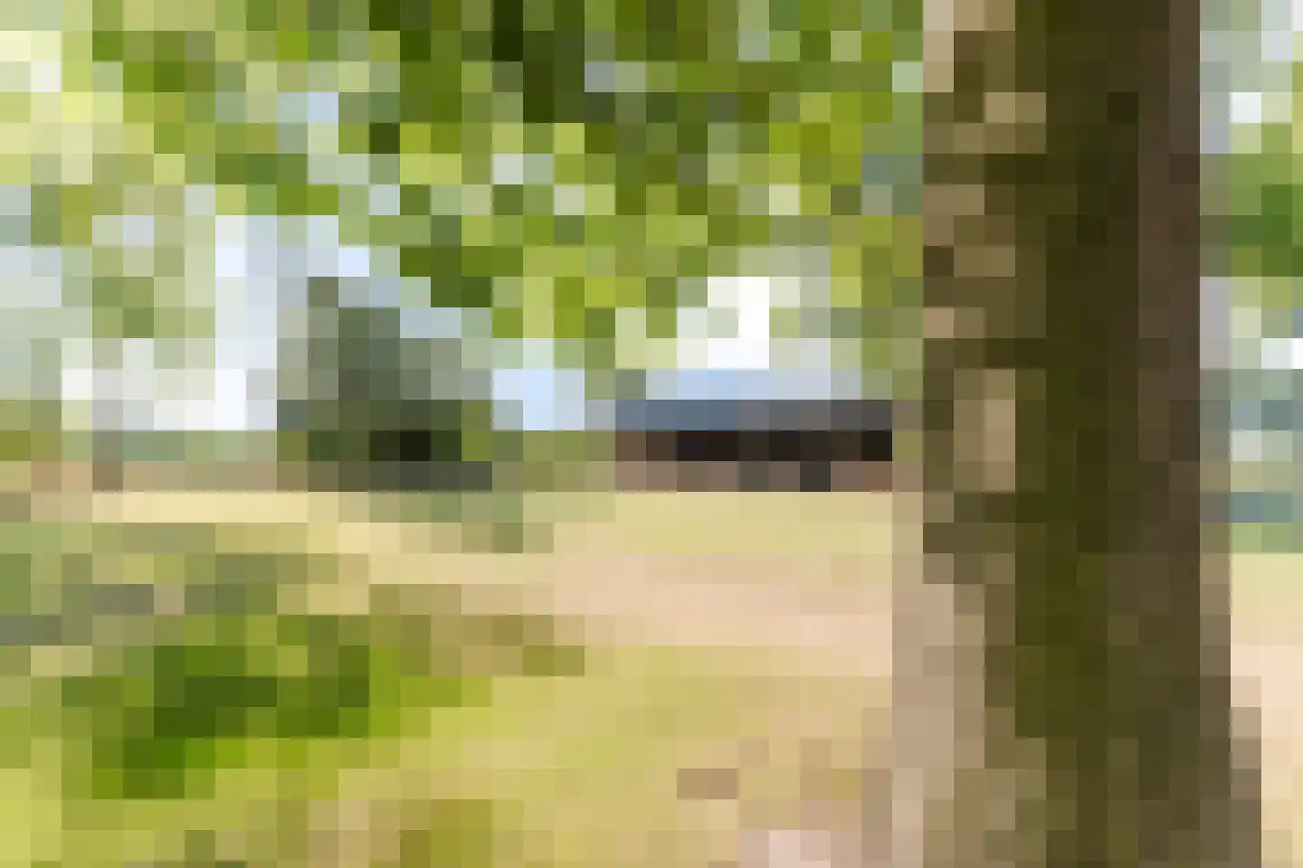 Doetinchem 3 3 Doetinchem thumbnail 42