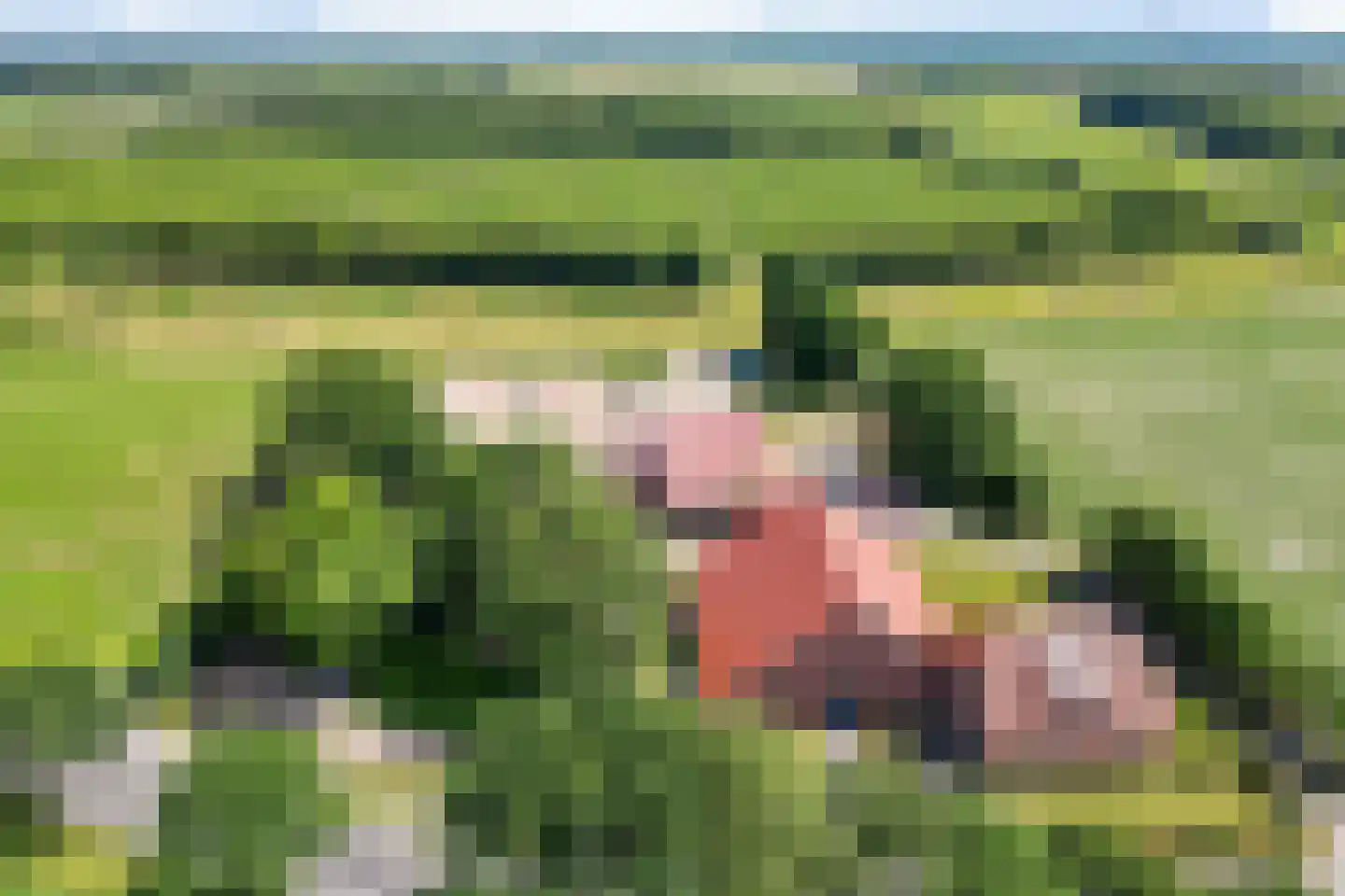 Doetinchem 3 3 Doetinchem thumbnail 47