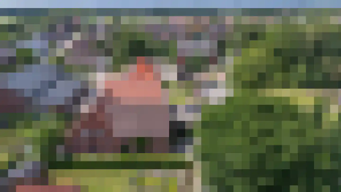 Doetinchem 3 3 Doetinchem thumbnail 5