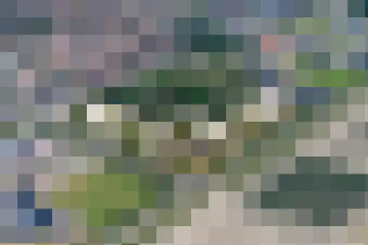 Doetinchemsestraat 12 Middelharnis thumbnail 15
