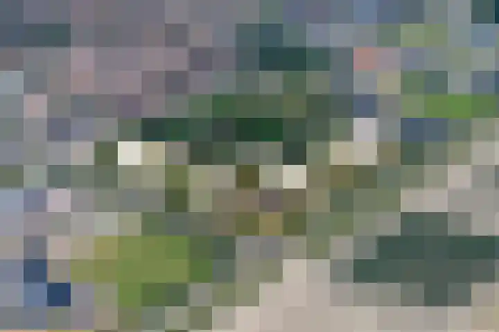 Doetinchemsestraat 16 Middelharnis thumbnail 15