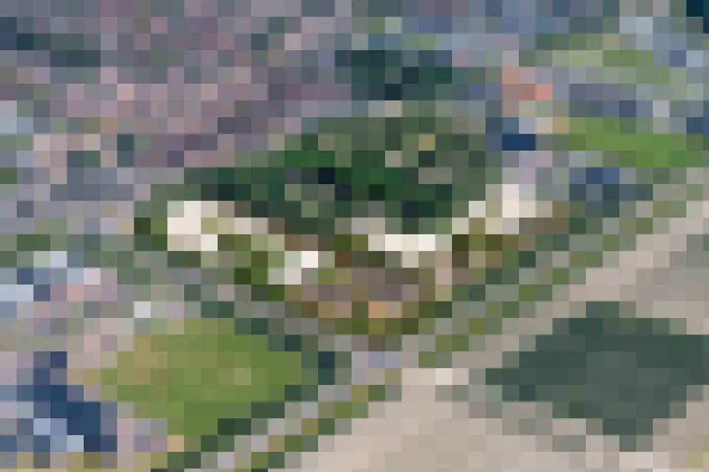 Doetinchemsestraat 18 Middelharnis thumbnail 11