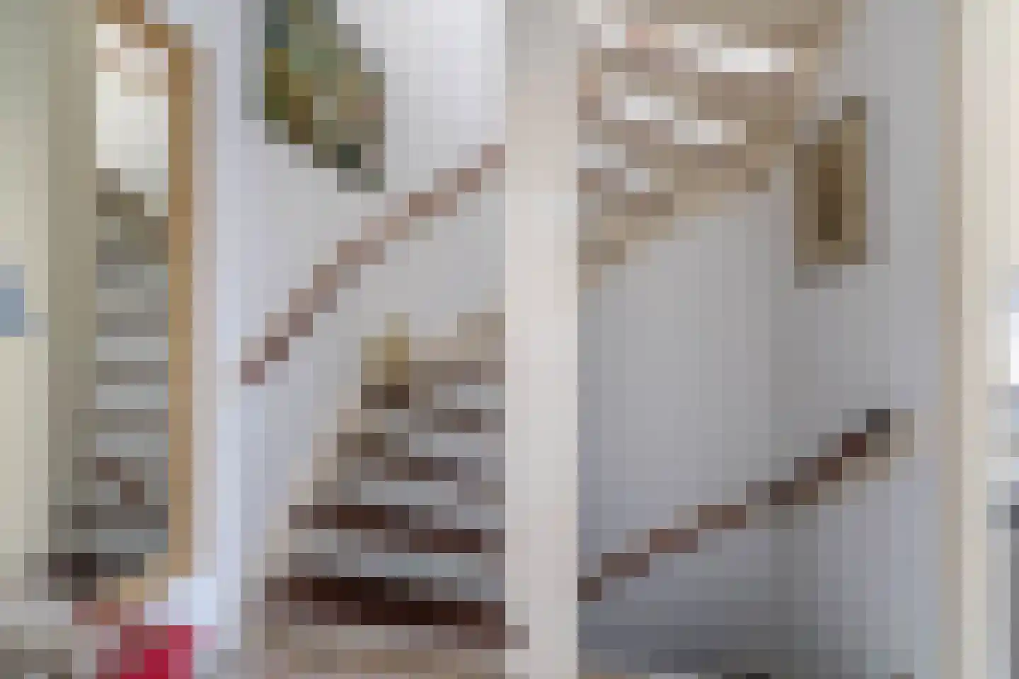 Doetinchemsestraat 22 Middelharnis thumbnail 10
