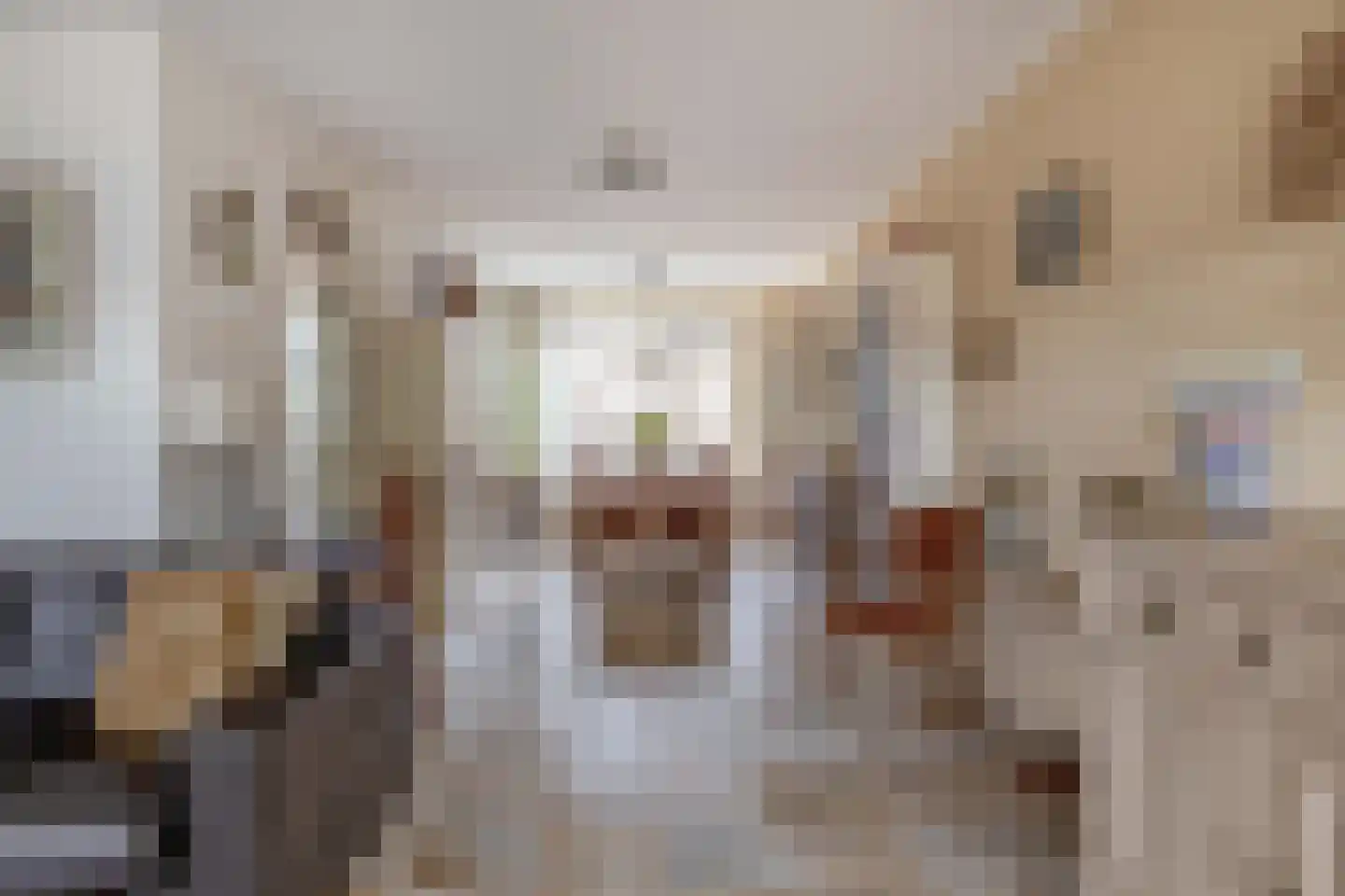 Doetinchemsestraat 22 Middelharnis thumbnail 15