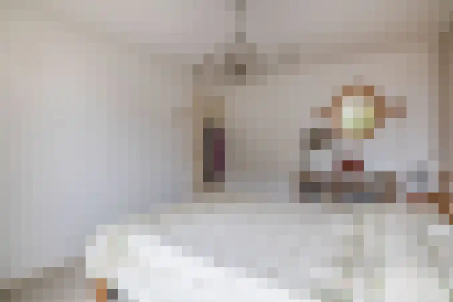 Doetinchemsestraat 22 Middelharnis thumbnail 20