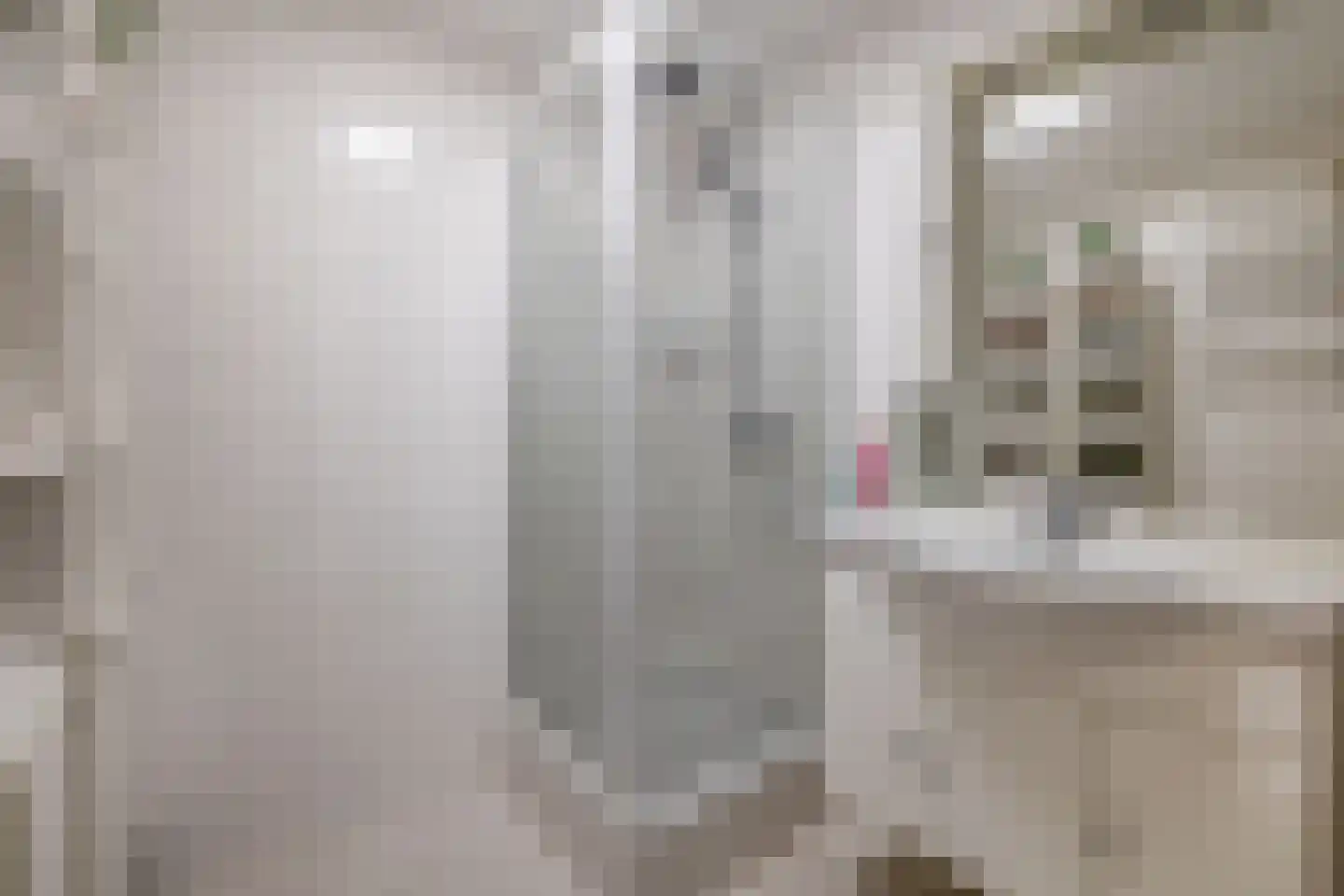 Doetinchemsestraat 22 Middelharnis thumbnail 21