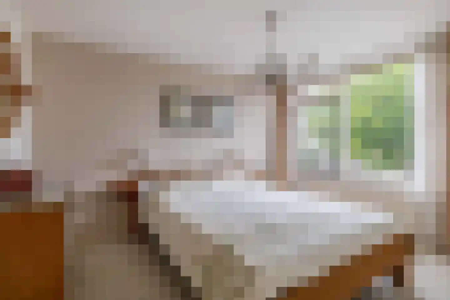 Doetinchemsestraat 22 Middelharnis thumbnail 4
