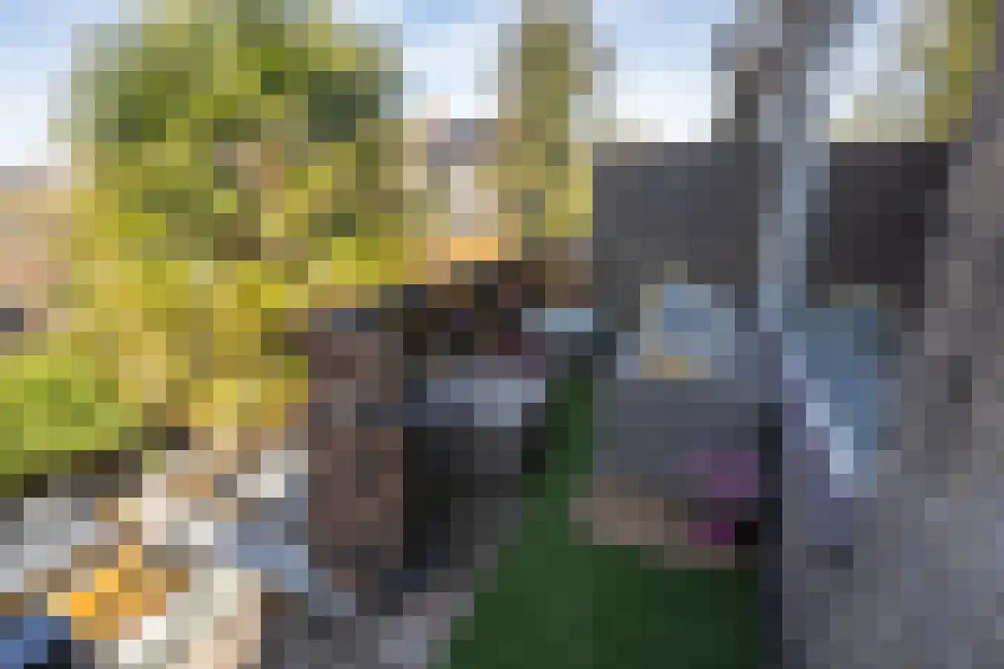 Doetinchemsestraat 32 Middelharnis thumbnail 17