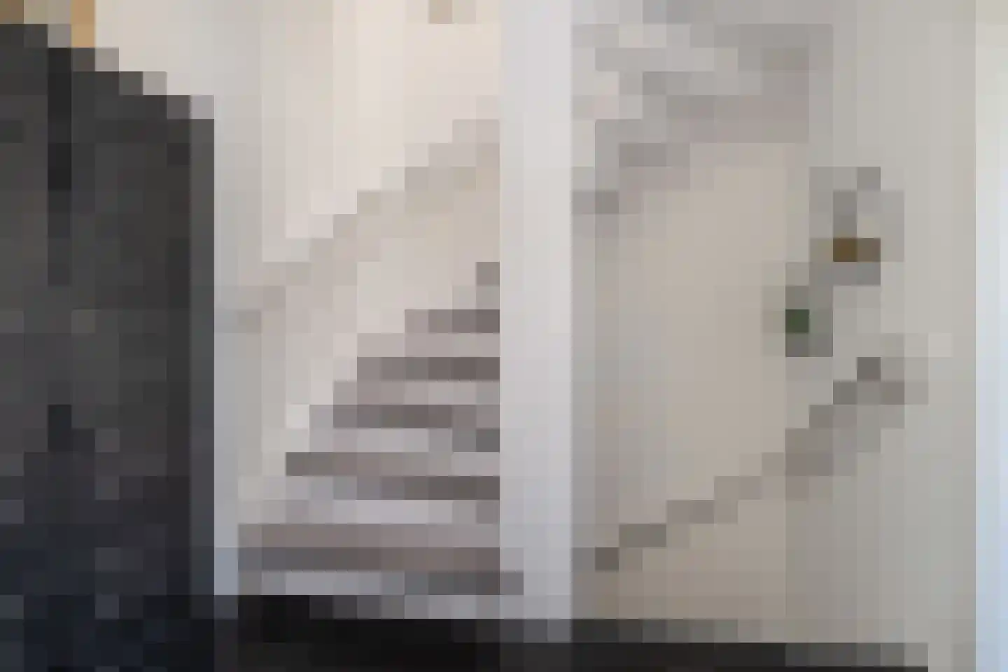 Doetinchemsestraat 32 Middelharnis thumbnail 18