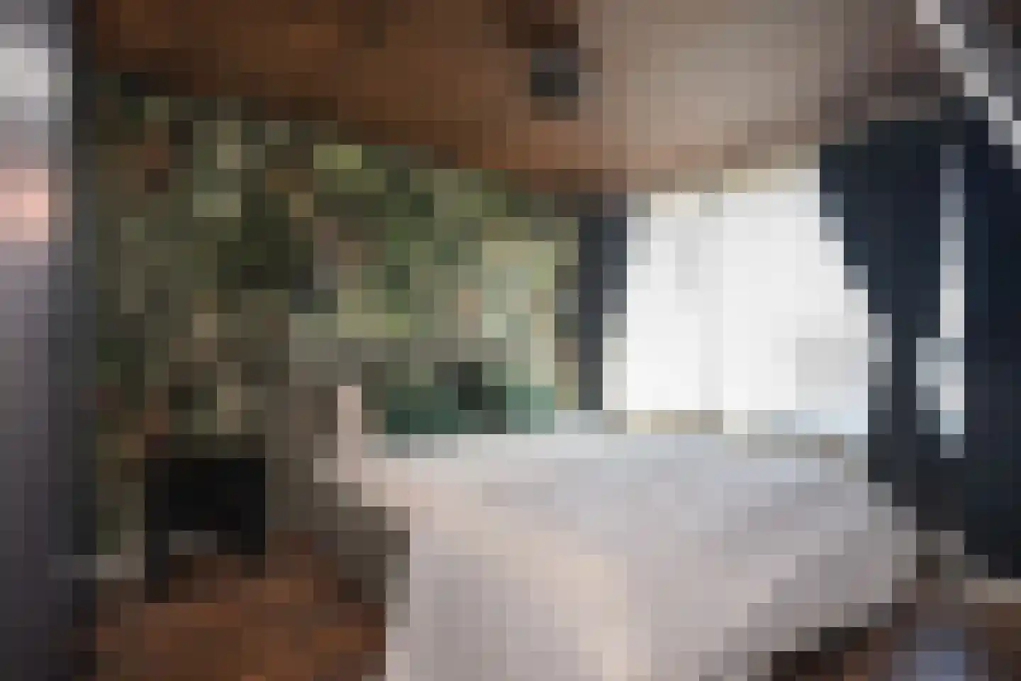 Doetinchemsestraat 32 Middelharnis thumbnail 20