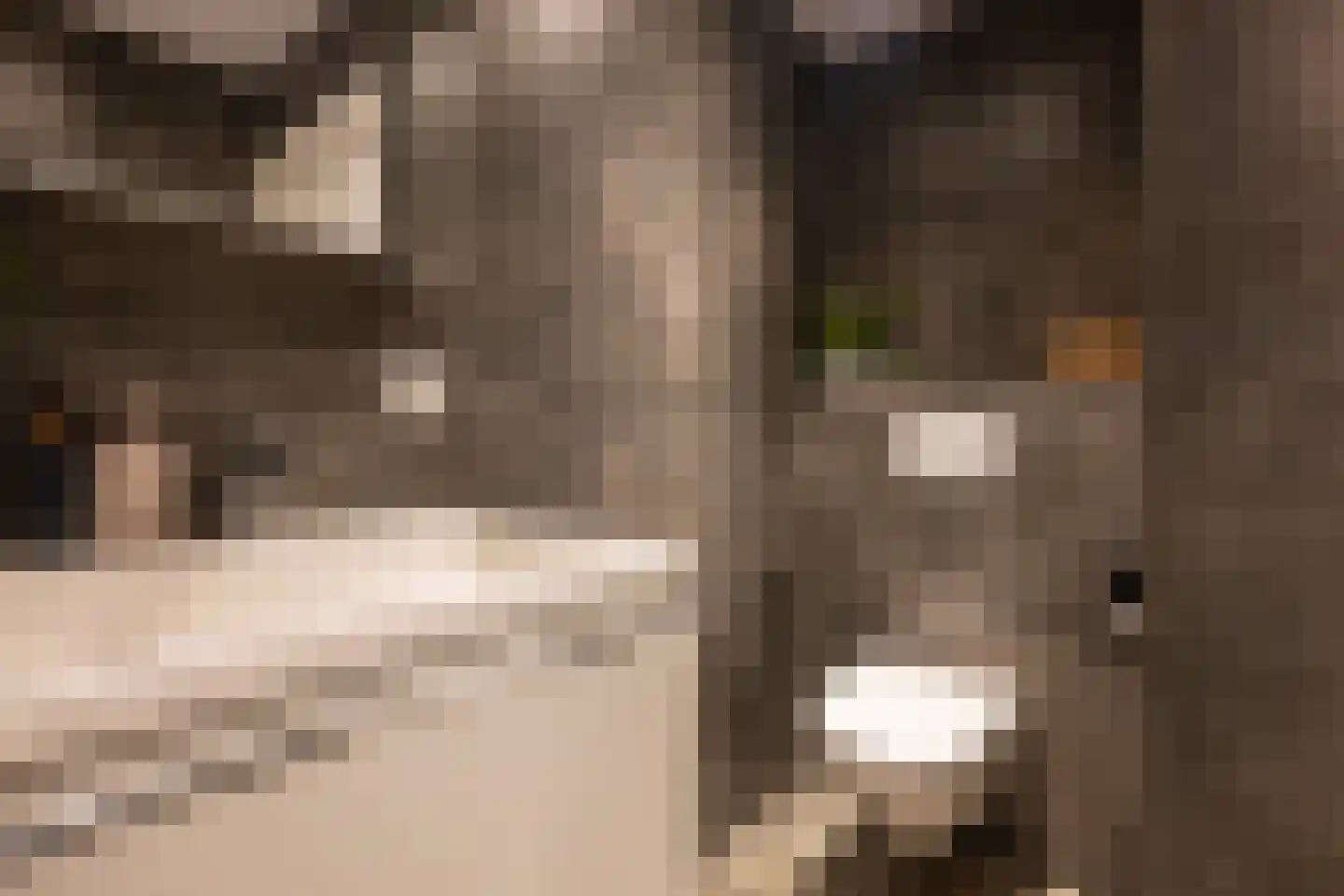 Doetinchemsestraat 32 Middelharnis thumbnail 25