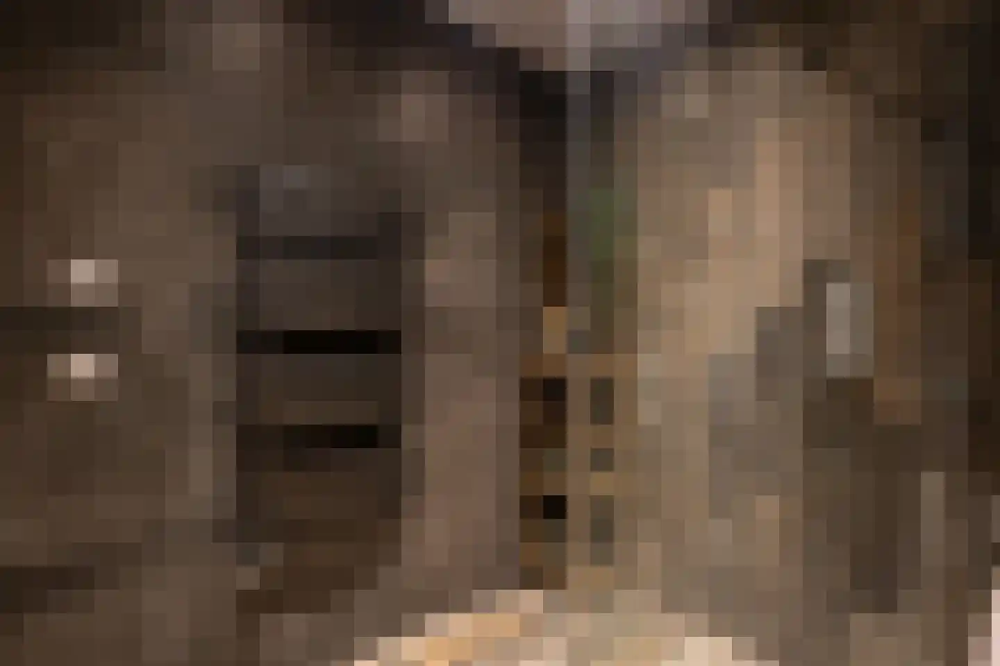 Doetinchemsestraat 32 Middelharnis thumbnail 27