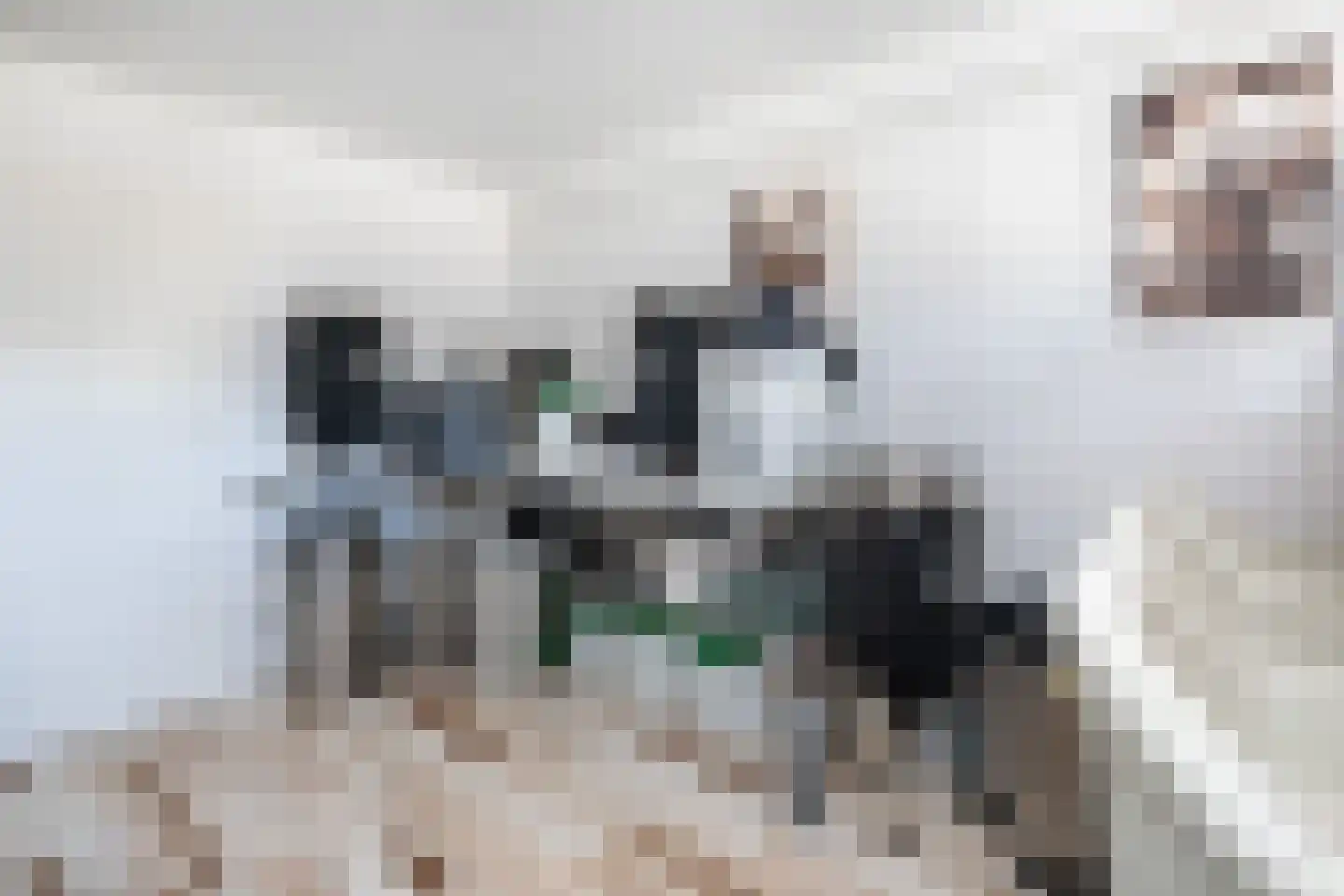 Doetinchemsestraat 32 Middelharnis thumbnail 32