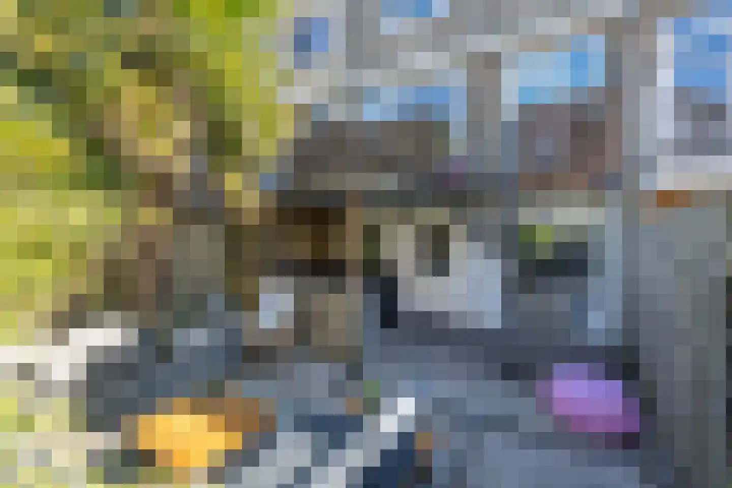 Doetinchemsestraat 32 Middelharnis thumbnail 34