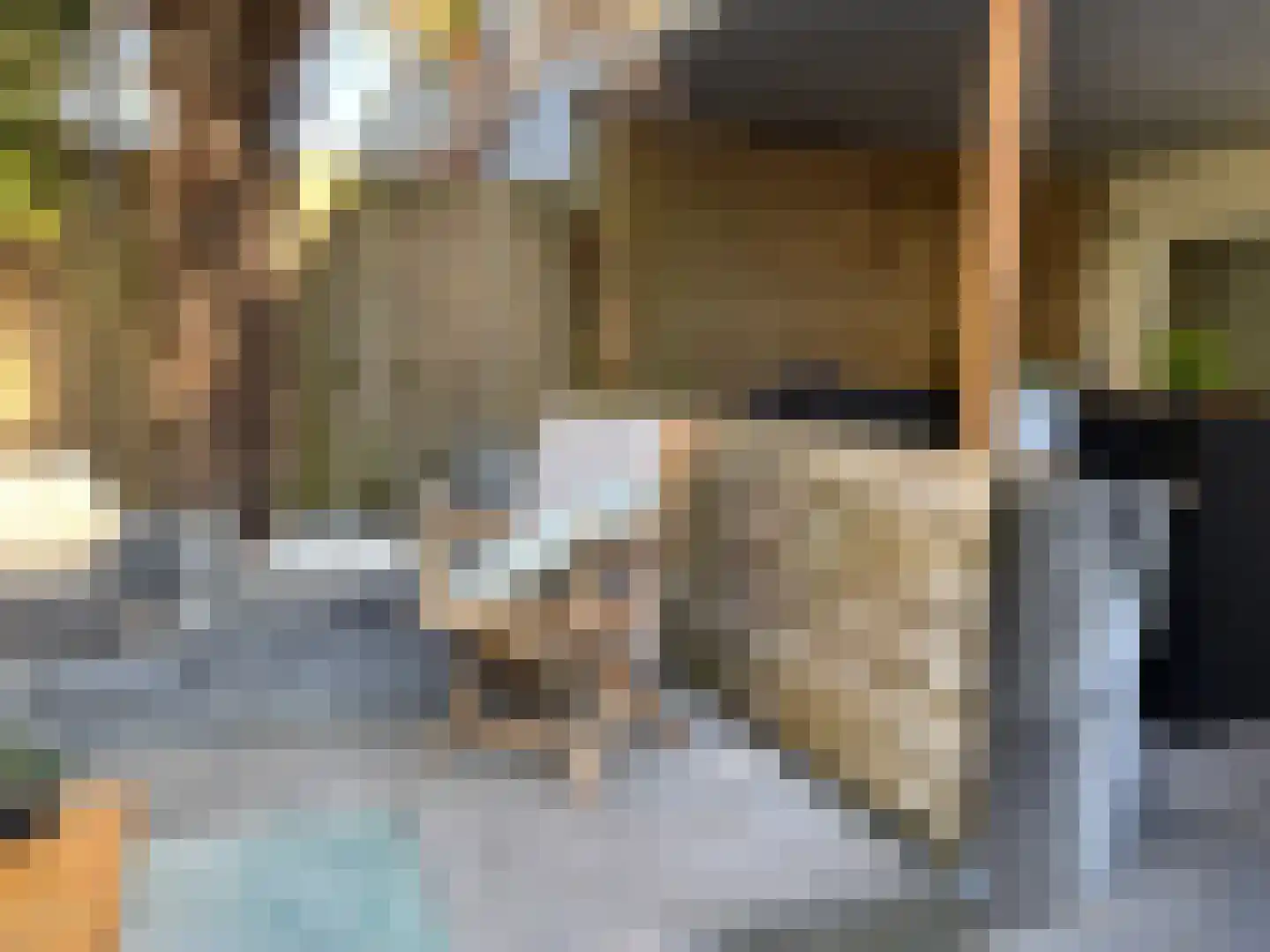 Doetinchemsestraat 32 Middelharnis thumbnail 35
