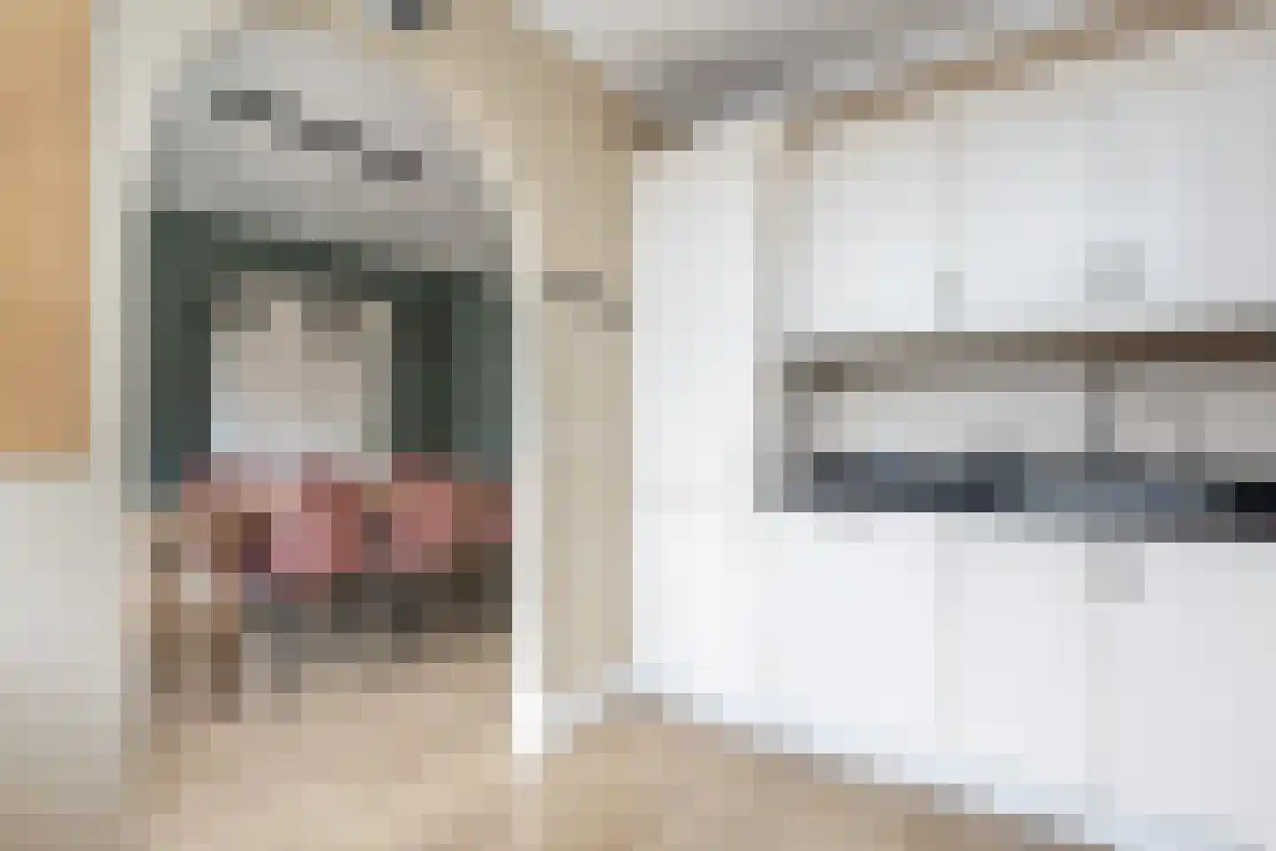 Doetinchemsestraat 39 Middelharnis thumbnail 16