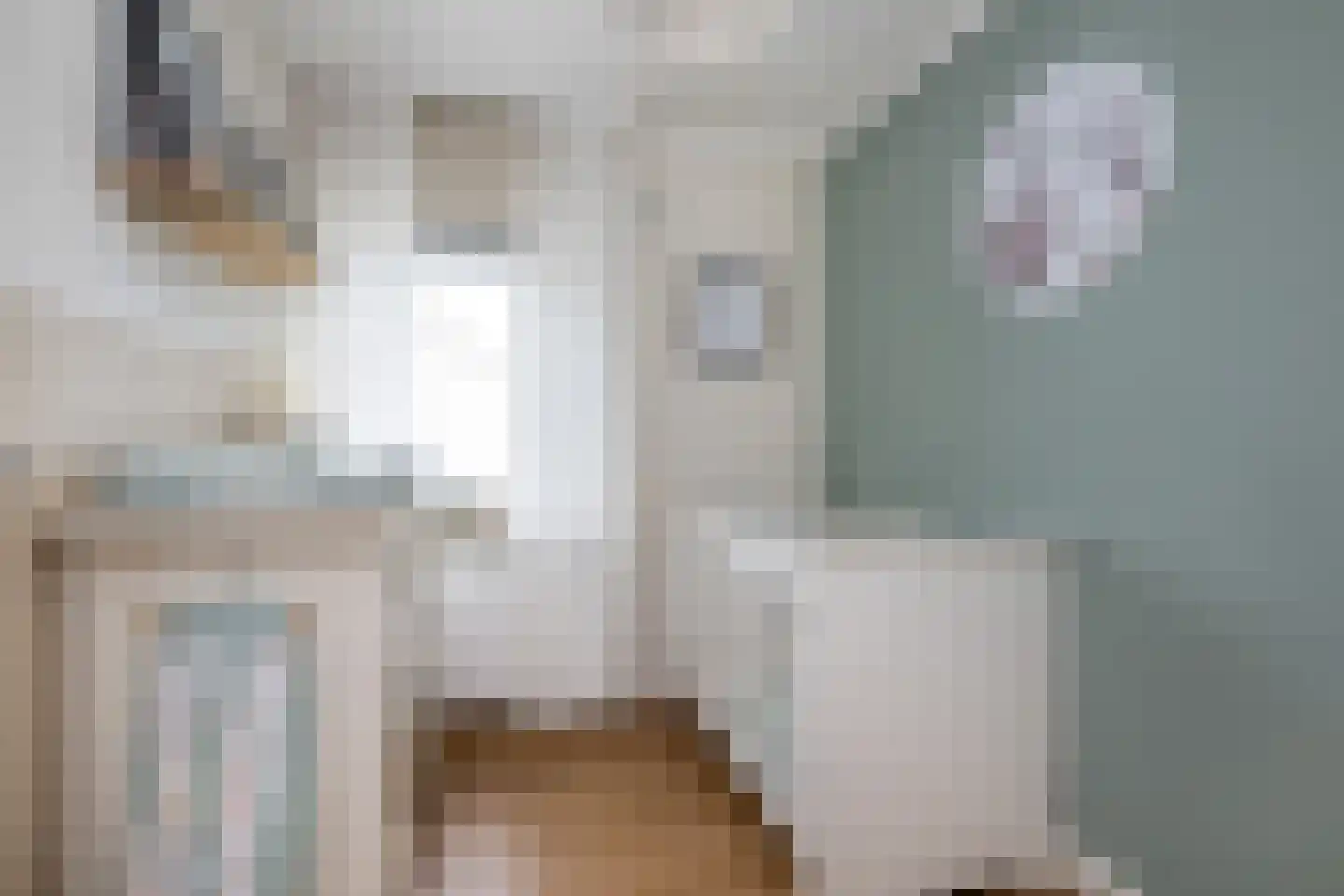 Doetinchemsestraat 39 Middelharnis thumbnail 23