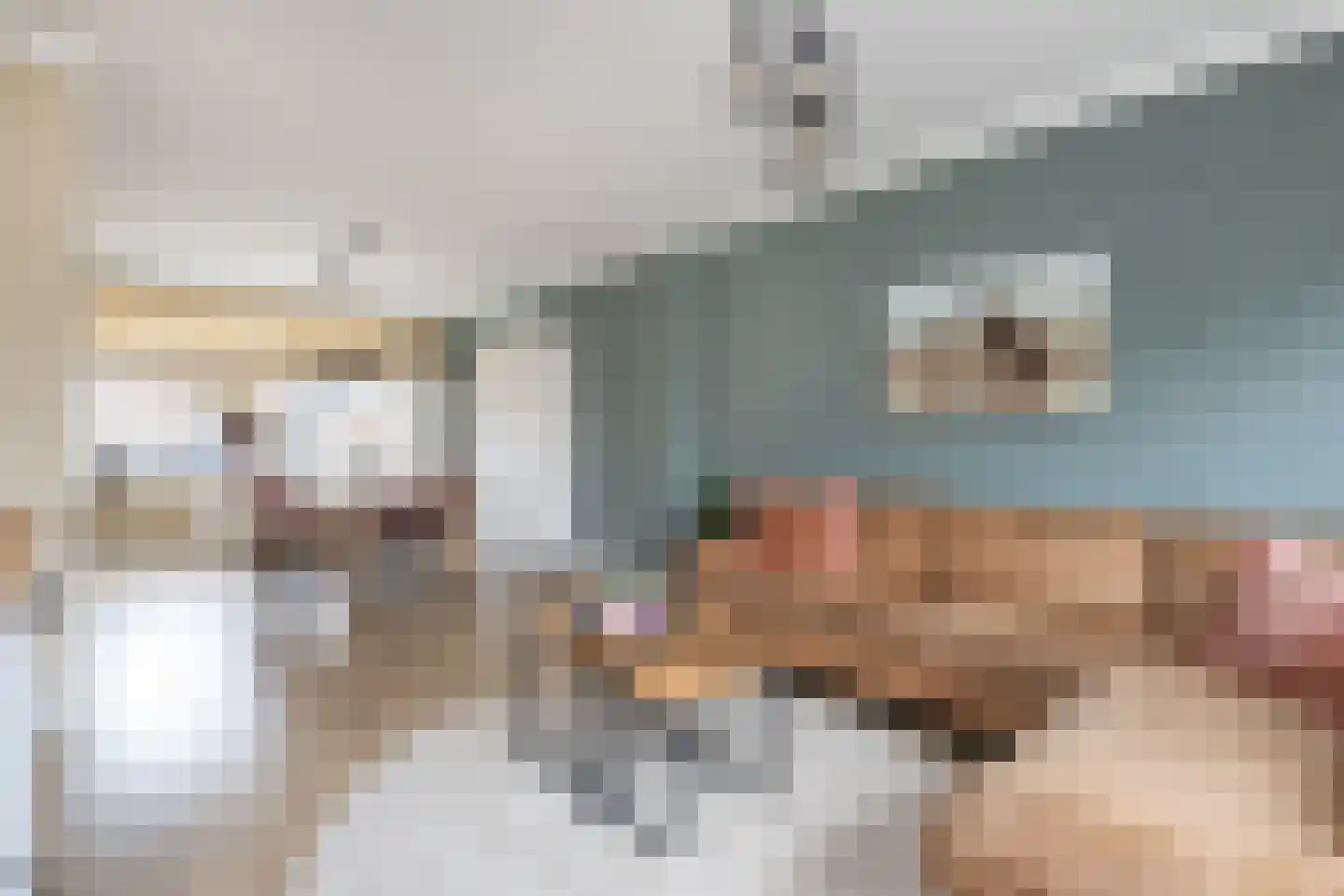 Doetinchemsestraat 39 Middelharnis thumbnail 4
