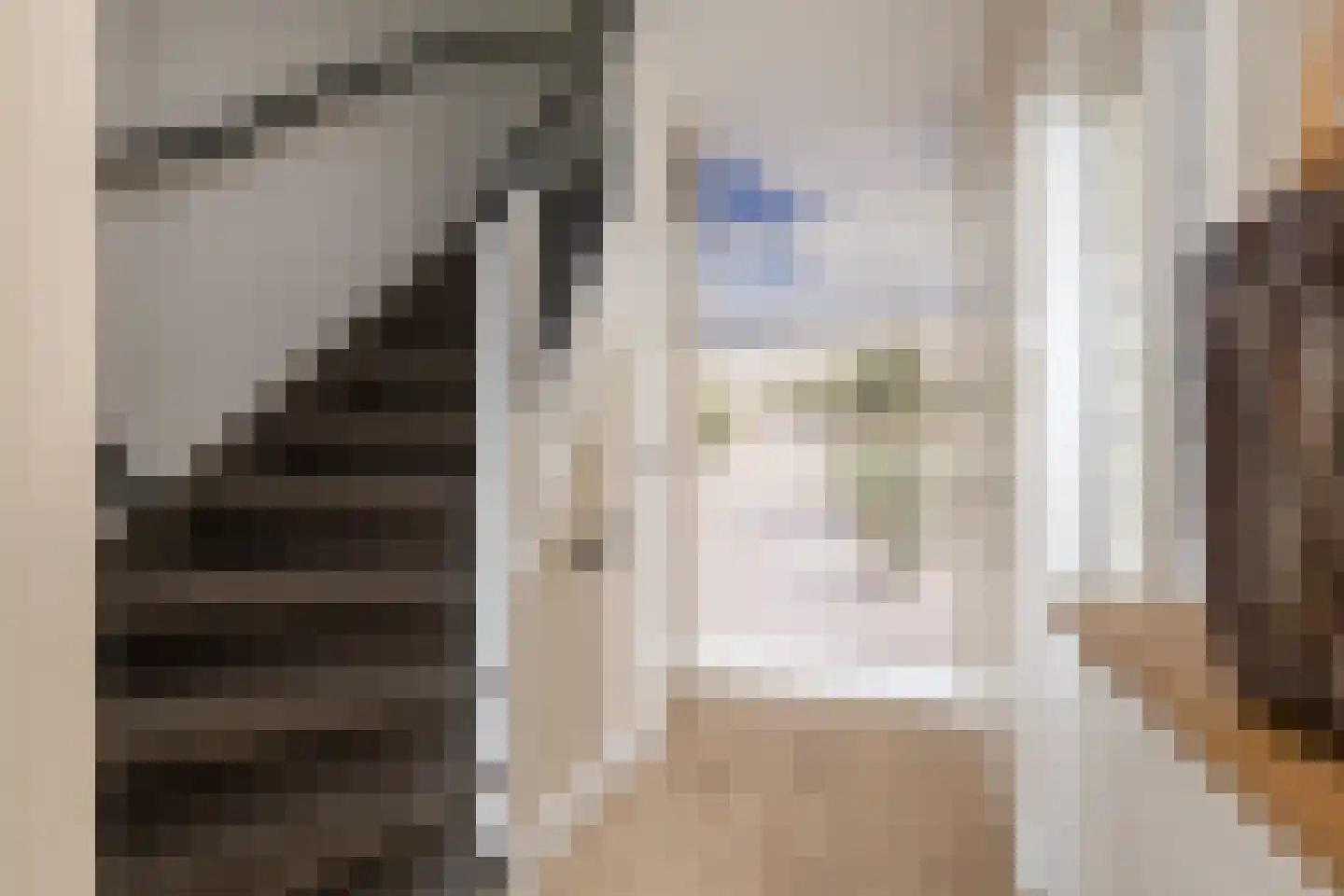 Doetinchemsestraat 39 Middelharnis thumbnail 9