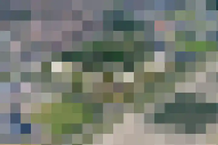 Doetinchemsestraat 4 Middelharnis thumbnail 15