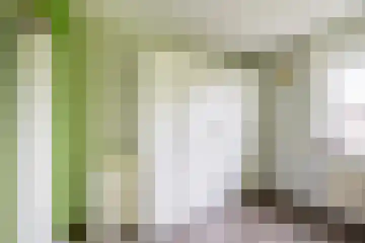 Doetinchemsestraat 41 Middelharnis thumbnail 21